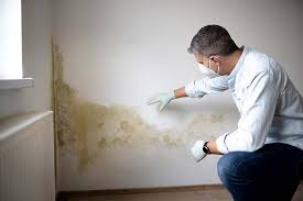 Best Mold Odor Removal Services  in Marshville, NC